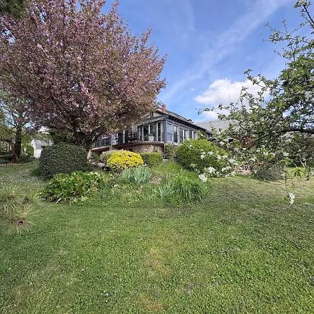 Villa Nuit D'or - Des Fleurs - Sejour & Pro